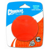 Chuckit! Fetch Ball Large 7,5 cm 1 ks