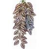 Rastlina do terária Happet Tradescantia Zebrina 50 cm