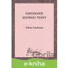 E-kniha Čarodejník Severnej točny - Alice Corkran