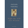 Night Sky with Exit Wounds