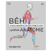 Běh z pohledu anatomie Správná technika, prevence před zraněním, nastavení tréninku