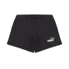 Puma Šortky/Bermudy ESS 2 COLOR NO1 LOGO SHORTS Čierna