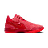 Nike Zoom LeBron NXXT Gen James Gang, 42,5EU, ZĽAVA