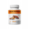 MycoMedica Reishi triterpen 90 kapsúl