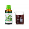 Meduňka BIO - bylinné kapky (tinktura) - doplněk stravy 50 ml