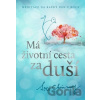Má životní cesta za duší - Sri Chinmoy