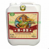 Advanced Nutrients B-52 20l