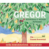 Gregor – rozprávka o veľkom putovaní (audiokniha na CD) (Soňa Borušovičová-Volentier)