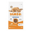 Iams Cat Adult Weight Control Chicken 2kg