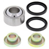 ALLBA BEARING KIT BOTTOM SHOCK ABSORBER