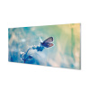Obraz na akrylátovom skle Farebný motýľ 100x50 cm