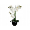 UMELÁ ORCHIDEA, VEĽKÉ BIELE KVETY, 50 cm