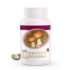 Agaricus Blazei Murill kapsule: 90cps