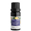 Nobilis Tilia Éterický olej bio Pomaranč: 10 ml