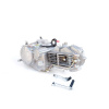 STOMP Pitbike motor Zongshen 155 - Stomp, DemonX, WPB