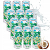 Neperlivá kokosová voda Coconaut 0,32 l