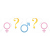 Santex Girlanda Gender Reveal symboly 500x20cm
