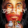 Vinyl - DESTINY