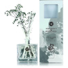 Ashleigh & Burwood Difuzer Cotton Flower & Amber in Bloom Grey 100 ml