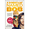 Street Cat Named Bob