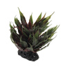 Repti Planet Agave zelená 18 cm