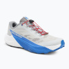 Pánske bežecké topánky Salomon Pulsar lunar rock/white/french blue