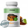 MycoMedica Chaga 90 kapsúl