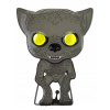 Funko POP! 16 Pin Harry Potter Remus Lupin