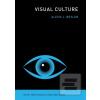 Visual Culture