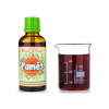 Paměť - bylinné kapky (tinktura) 50 ml -doplněk stravy