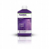 Plagron tekuté viaczložkové hnojivo 0,3 kg 0,1 l (Plagron Sugar Royal - 100 ml)