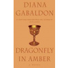 Dragonfly In Amber - autor neuvedený