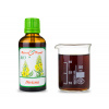 Divizna BIO - bylinné kapky (tinktura) doplněk stravy 50 ml