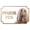 Afgánsky chrt - Kovová tabuľka POZOR PES