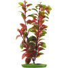 Hagen Marina Red Ludwigia 20 cm