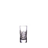 Bohemia Crystal Poháre na vodku a pálenku Veterník 40ml (set po 6ks)