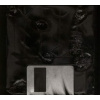 Master Boot Record - Floppy Disk Overdrive / Digisleeve [CD]