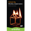 E-kniha Ohníčky všude kolem - Celeste Ng