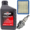 Motorová súúrava BRIGGS STRATTON (PROFESIONÁLNA MOTOROVÁ SÚPRAVA BRIGGS&STRATTON QUANTUM 625 650 675 (5,0 - 6,0 K))