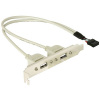 Delock Slotbracket 1x internal USB 5pin > 2x USB2.0 external krycí plech prázdneho slotu 1 ks; 71000