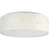 Rabalux OTILIA LED stropné svietidlo 3308