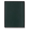 Zápisník Moleskine Precious & Ethical Vegea Boa - mäkké dosky - XL, linajkový, zelený