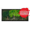 Machový obraz stromy života 40x100 cm