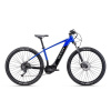 CTM Pulze 29