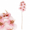Autronic Orchidea - umelá rezaná, zlaté zdobenie, ružová KUC2603 PINK