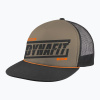 Šiltovka DYNAFIT Graphic Trucker fallen rock/tabloid