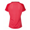 RSL Manhatten (1 sada Badminton Set)