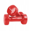 Insportline Vinyl Dumbbells 2x 1,5 kg 2 ks. (Insportline Vinyl Dumbbells 2x 1,5 kg 2 ks.)