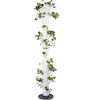 Gusta Garden GG-100529