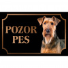 Aierdálsky teriér (Erdelteriér) - Kovová tabuľka POZOR PES